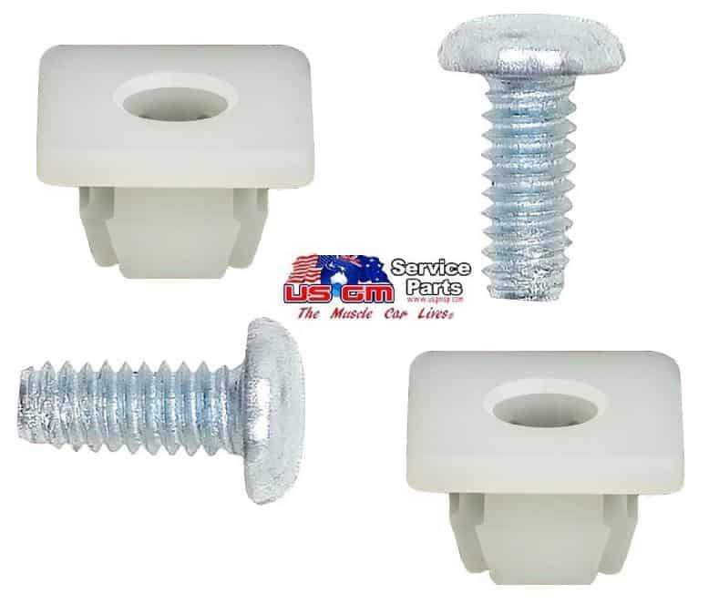 License  Plate  Insert & Screw Set: 67-69F + other GM